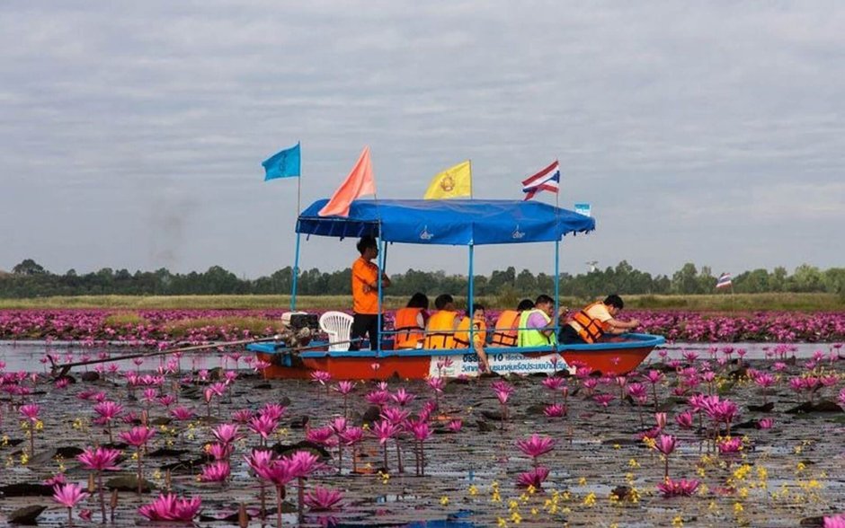 Eric Chiryoku • Lotus Flower