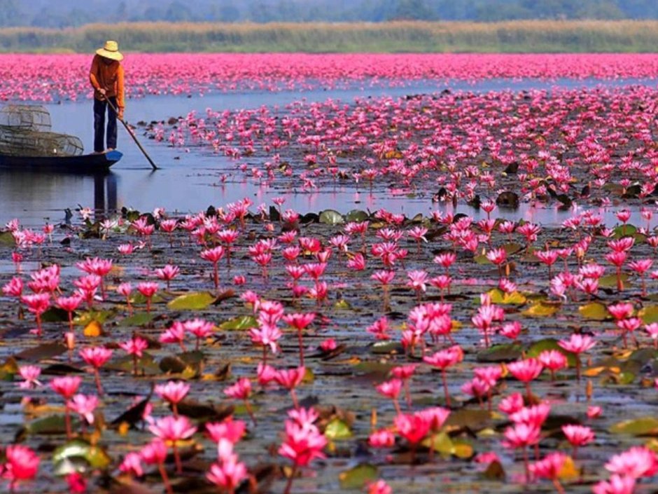 Озеро Нонг Хан Кумпхавапи, Таиланд