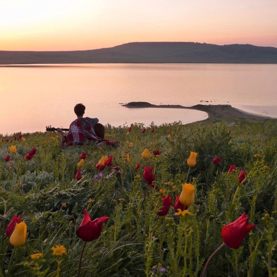 Озеро Кояшское в Крыму цветет