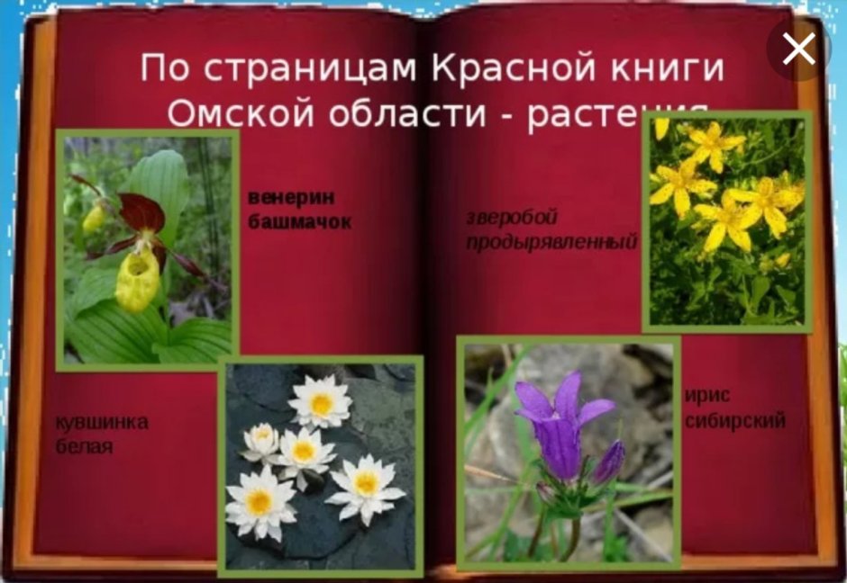 Растения и животные Краснодарского края