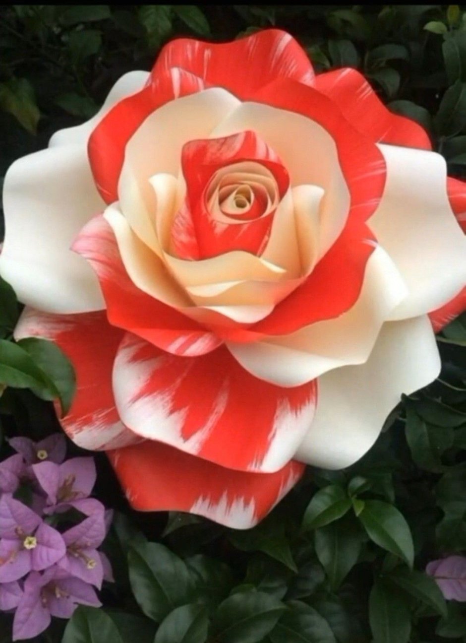 Необыкновенные розы