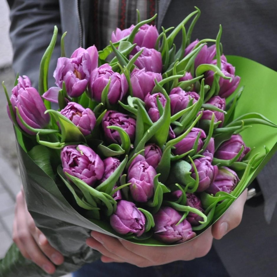Пионообразные тюльпаны