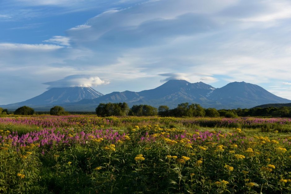 Альпийские Луга Камчатки