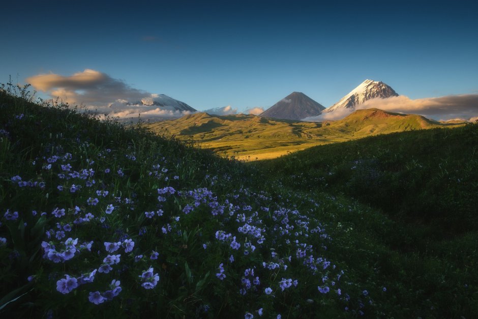 Альпийские Луга Камчатки