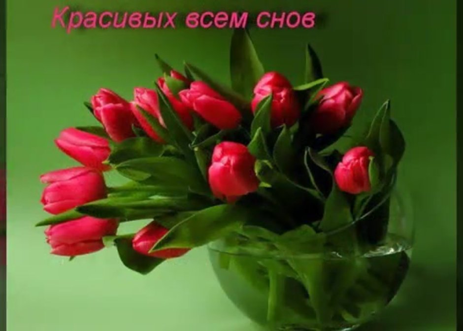 Букет тюльпанов открытка с днем рождения