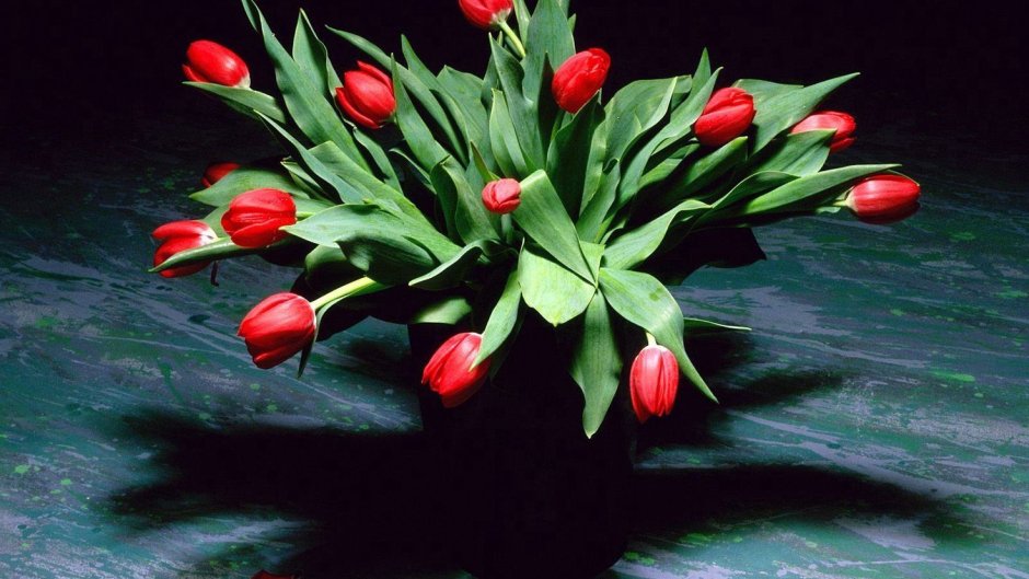 Тюльпаны на темном фоне вертикальные