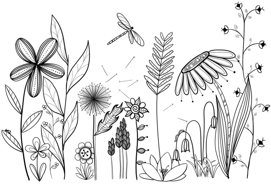 Рисунки растений