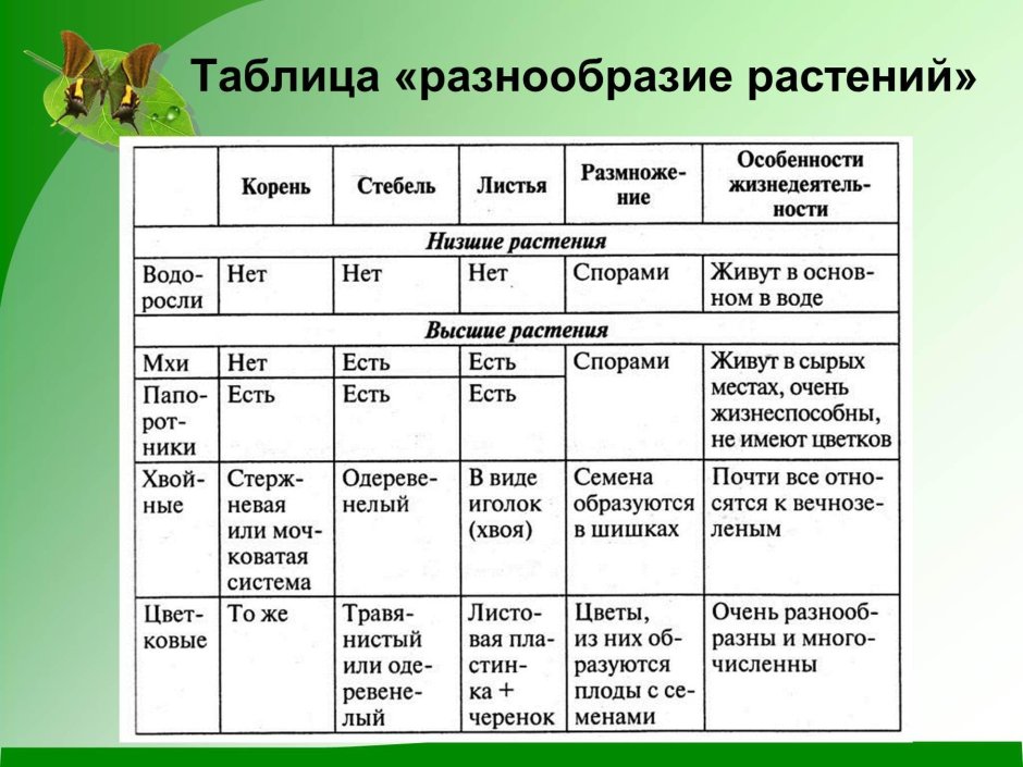 Таблица по окружающему миру 3 класс разнообразие растений