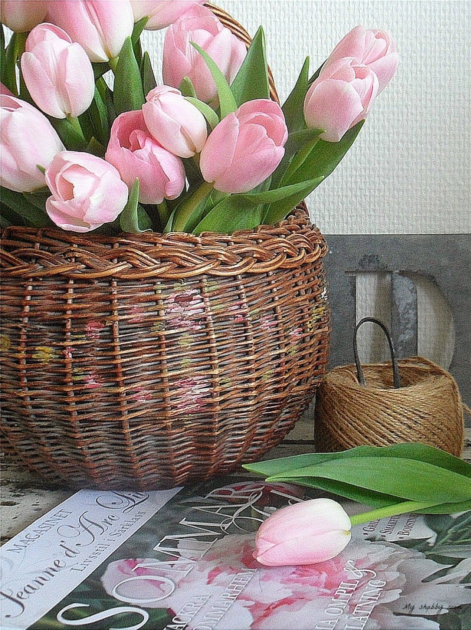 Красивые тюльпаны в корзине