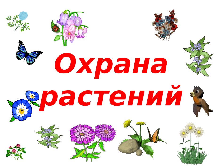 Охрана растений