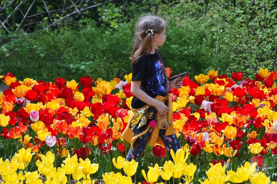 Ботанический сад Крым парад тюльпанов