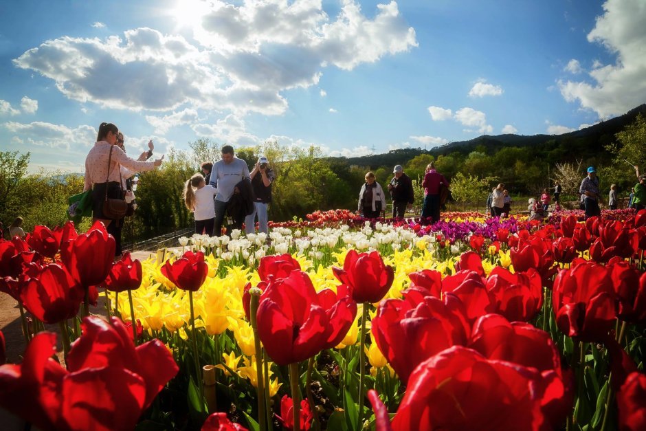 Парад тюльпанов в Ялте 2022