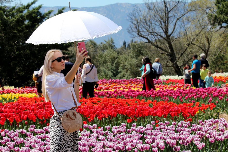 Никитский Ботанический сад в Крыму тюльпаны