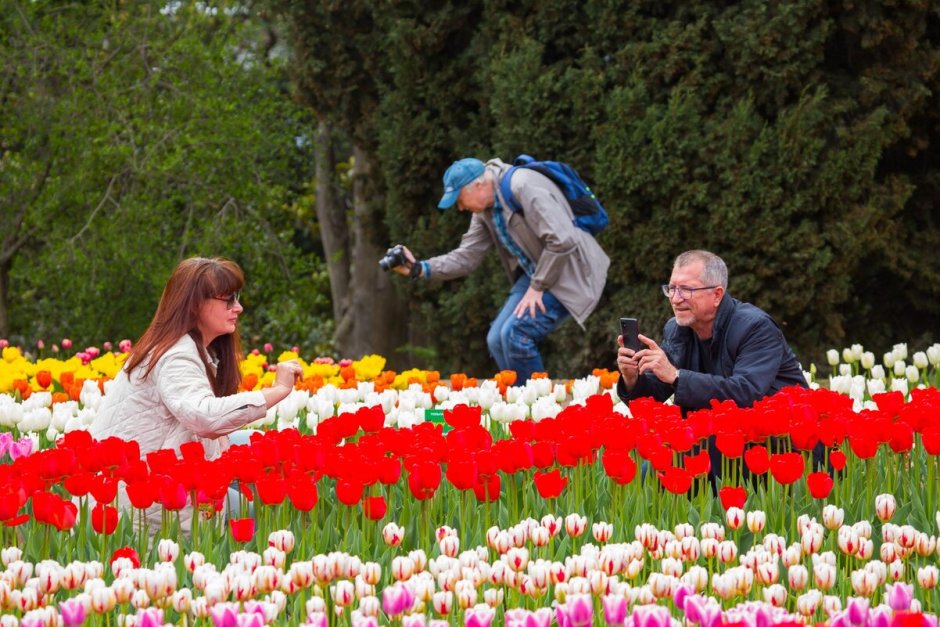 Ботанический сад КФУ парад тюльпанов