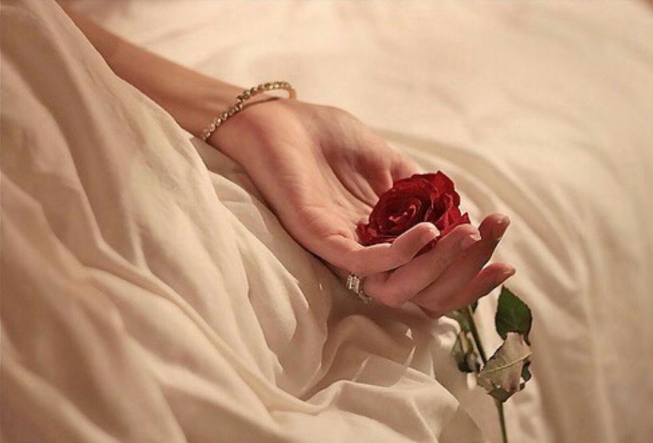 Женская рука с розой