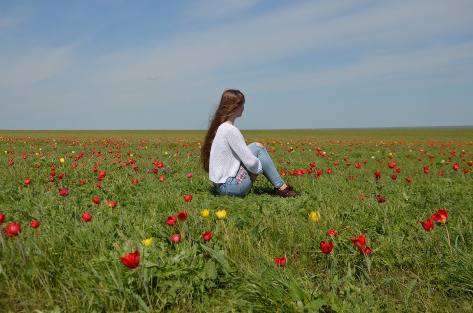 Фестиваль тюльпанов степи Калмыкии
