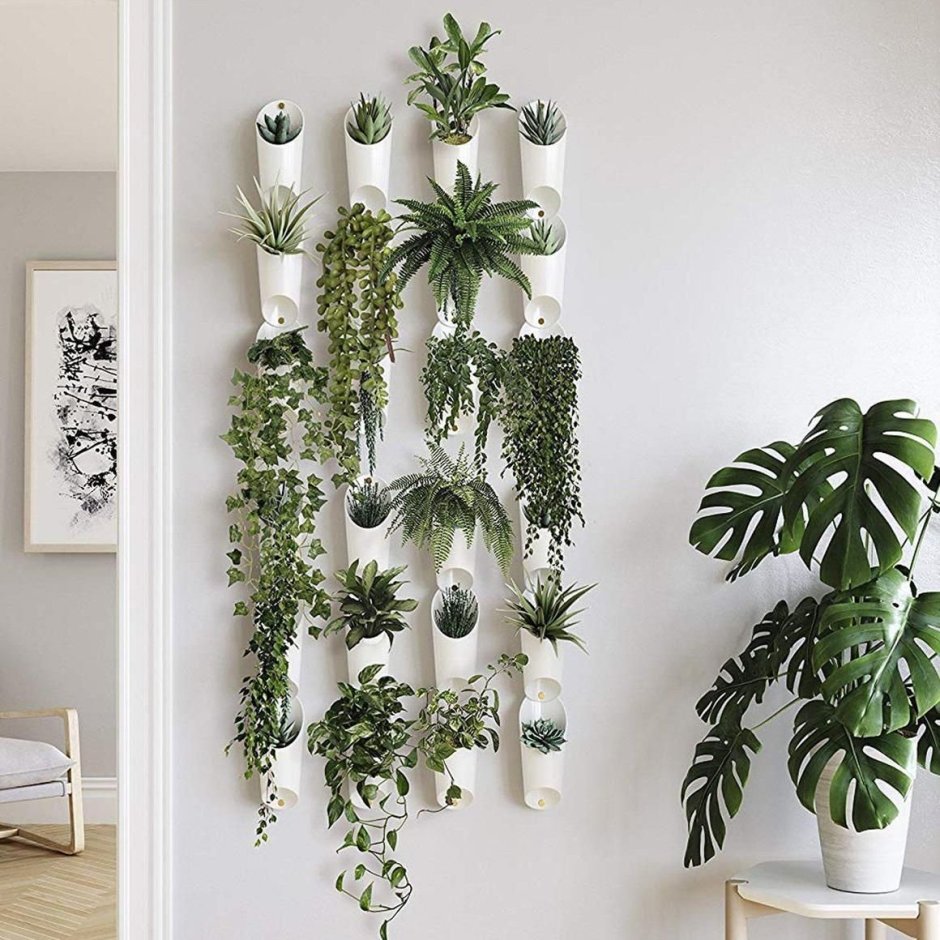 Растения на стене в интерьере