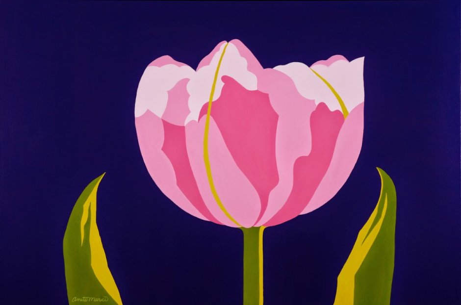 Декоративные тюльпаны рисунок