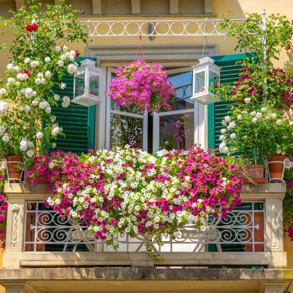 Украсить балкон цветами