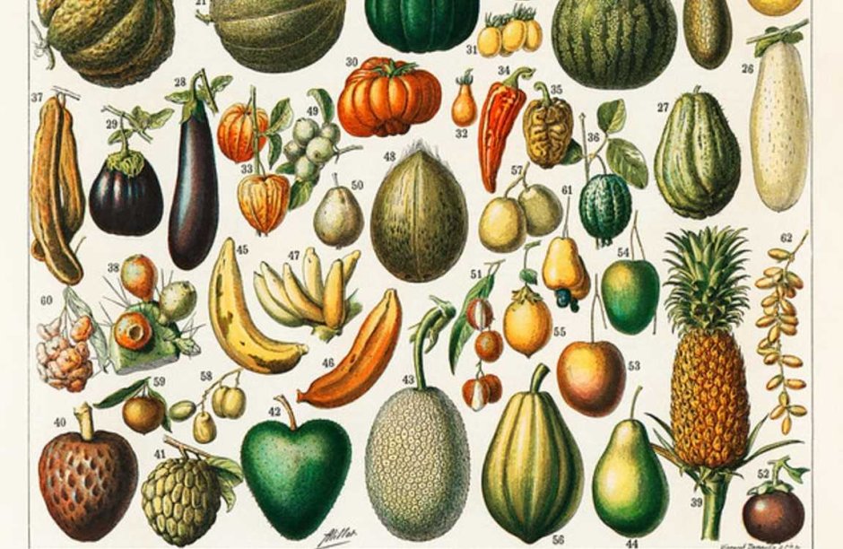 Селекция фруктов и овощей