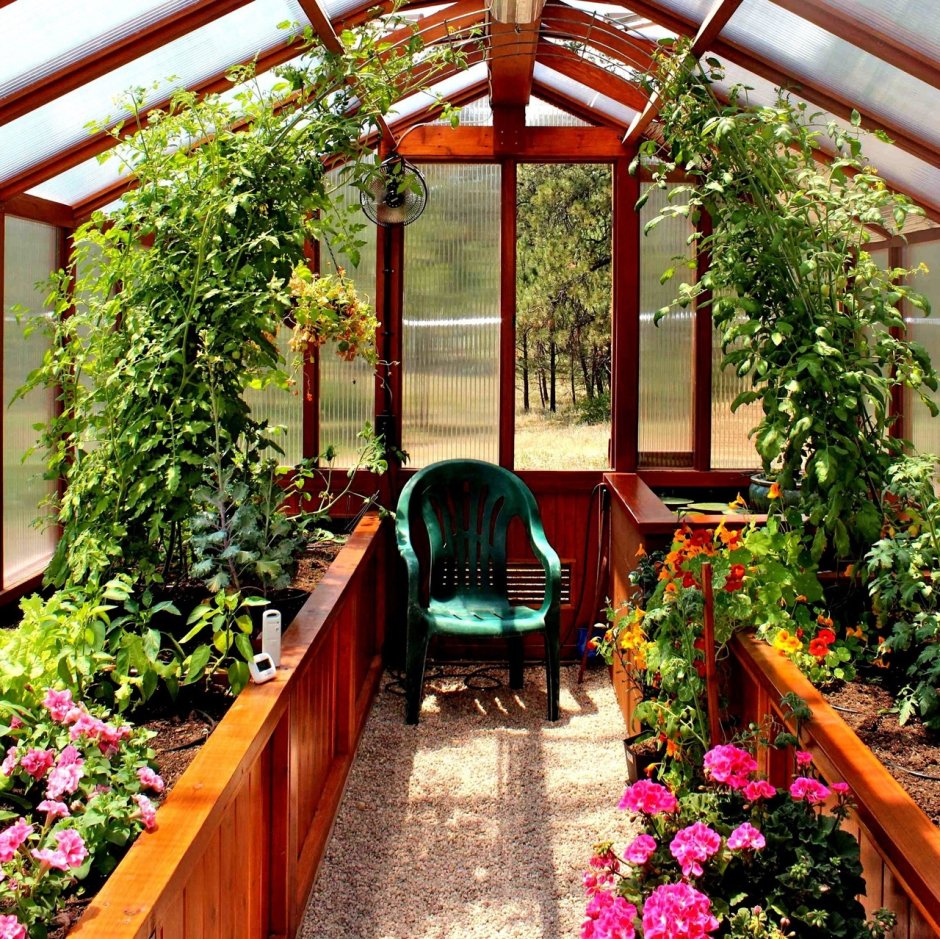 Теплица Greenhouse