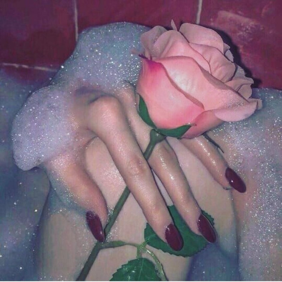 Розы в воде Эстетика