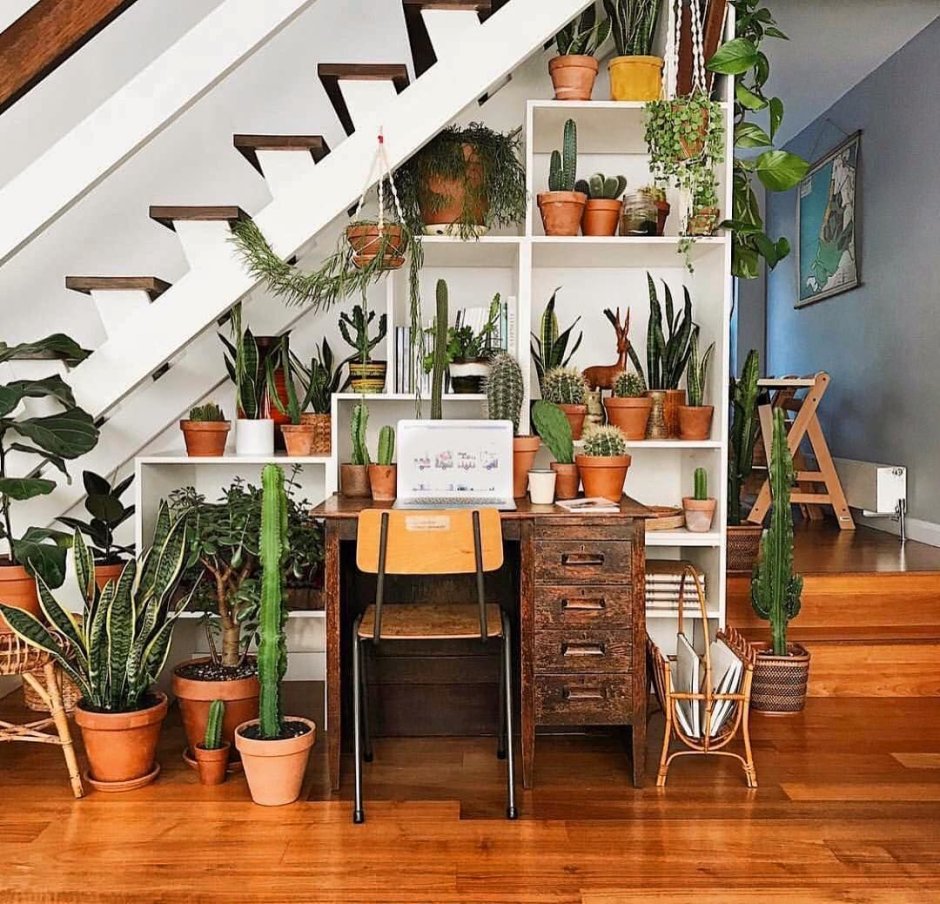 Лестница для растений
