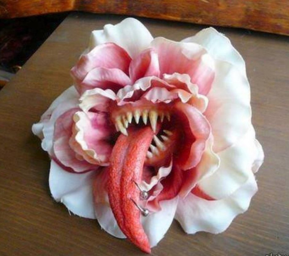 Цветок с зубами
