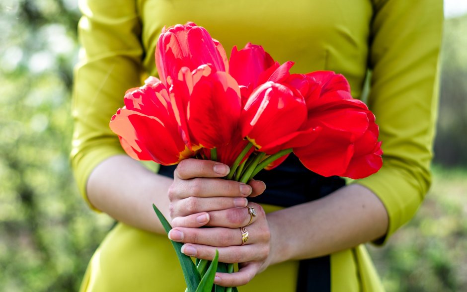 Ярко красные тюльпаны