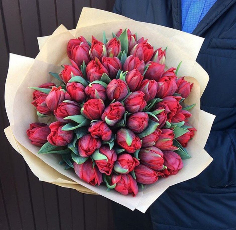 Tulips 045-3