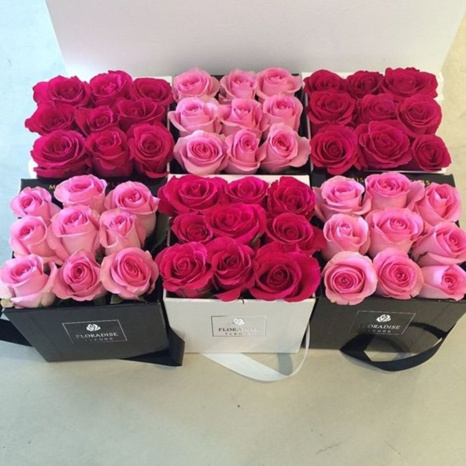 Много роз в коробке