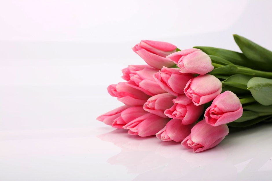 Красивые розовые тюльпаны
