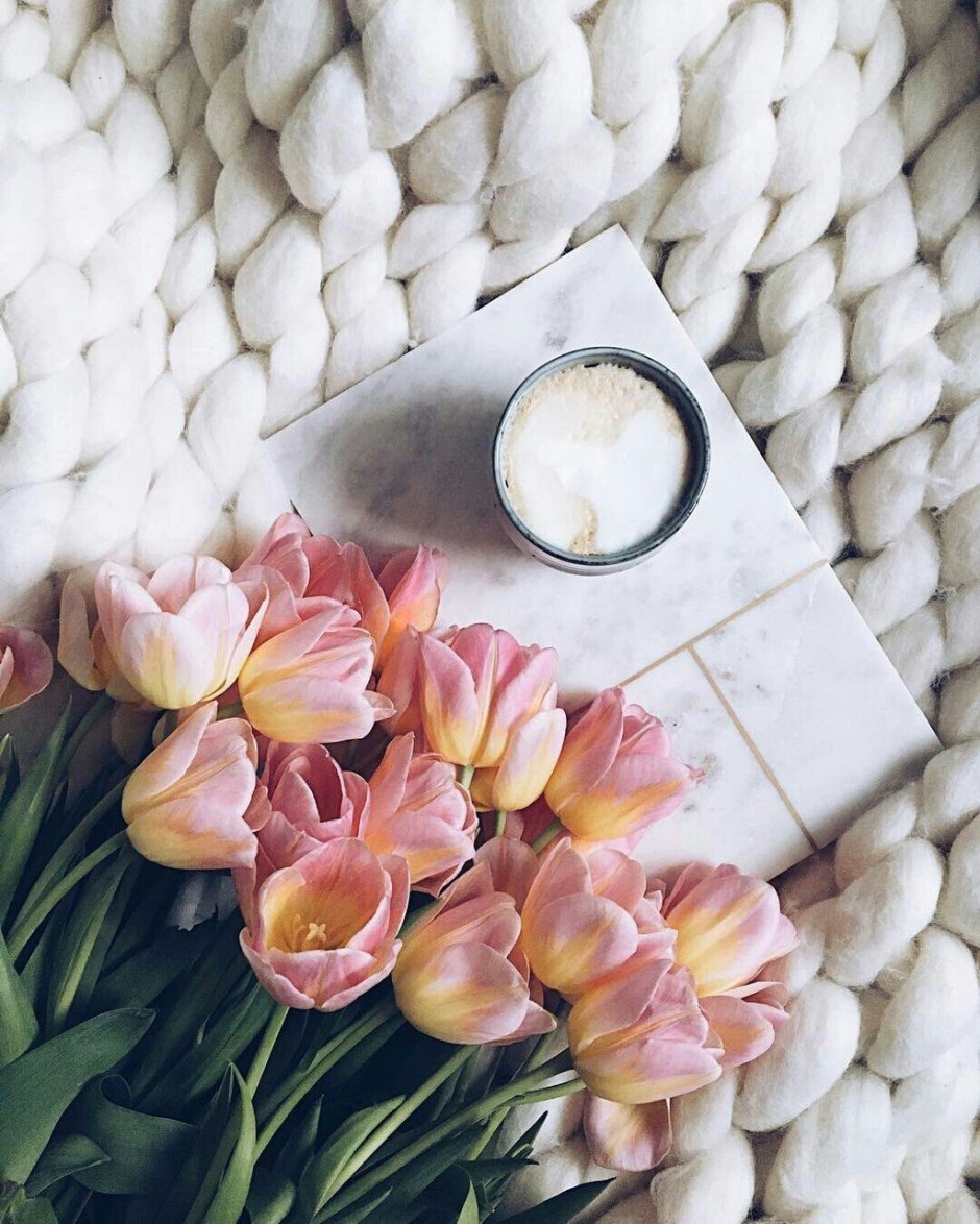 Эстетика утро с тюльпанами