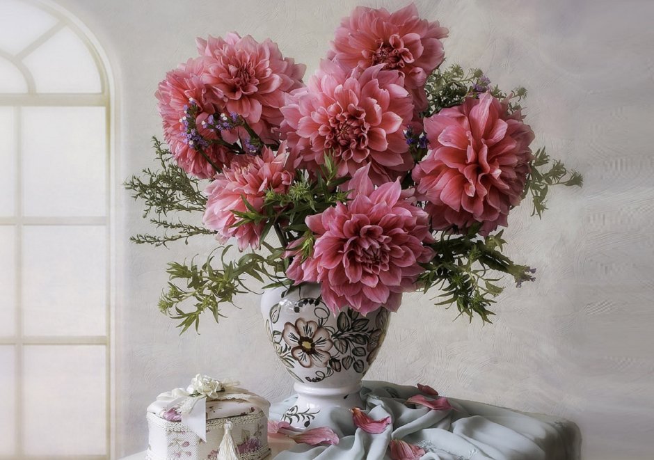 Хризантема Allouise Pink