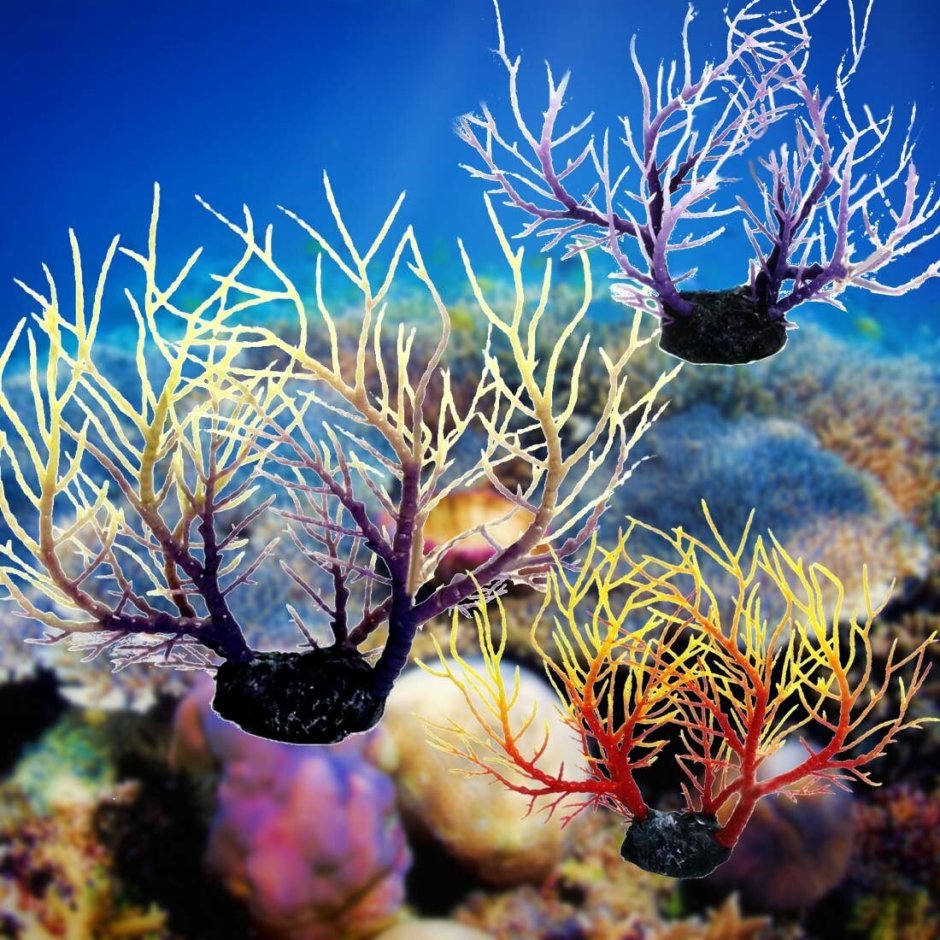 Морские растения