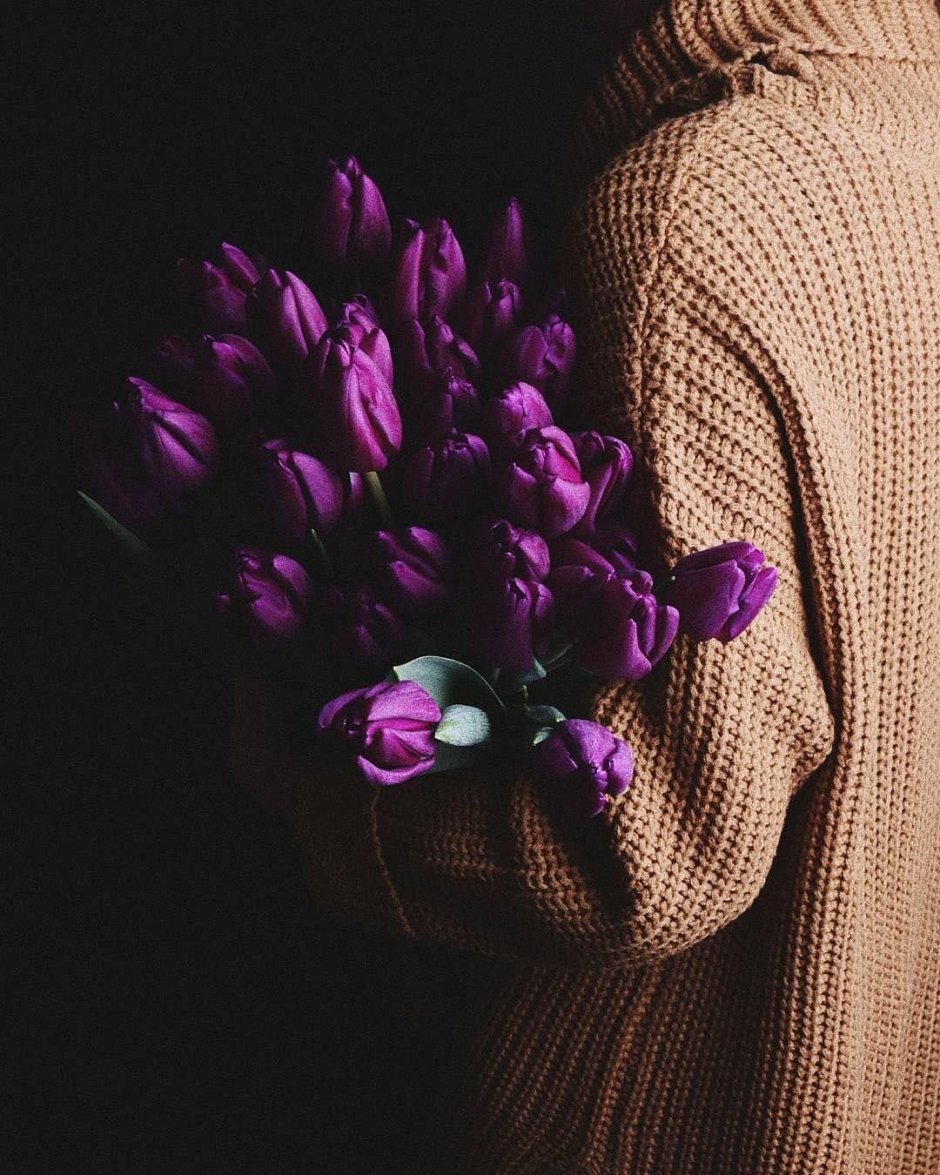 Фиолетовые тюльпаны Эстетика