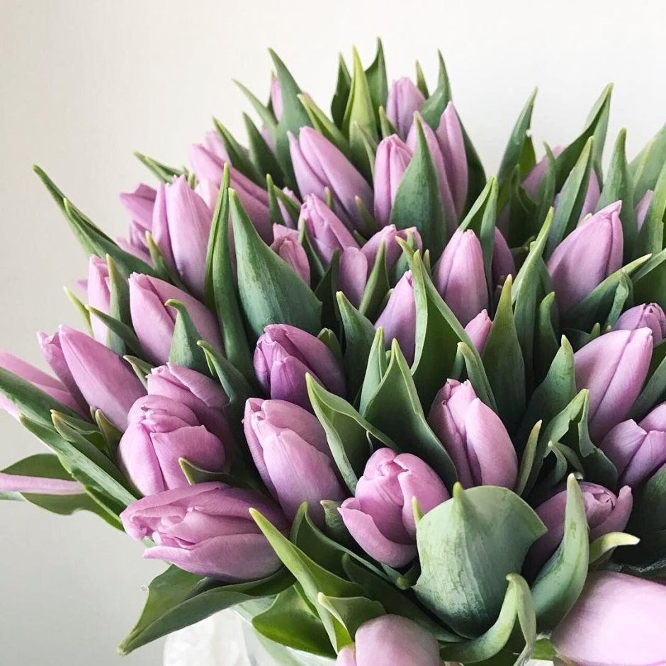 Розовые и фиолетовые тюльпаны букет