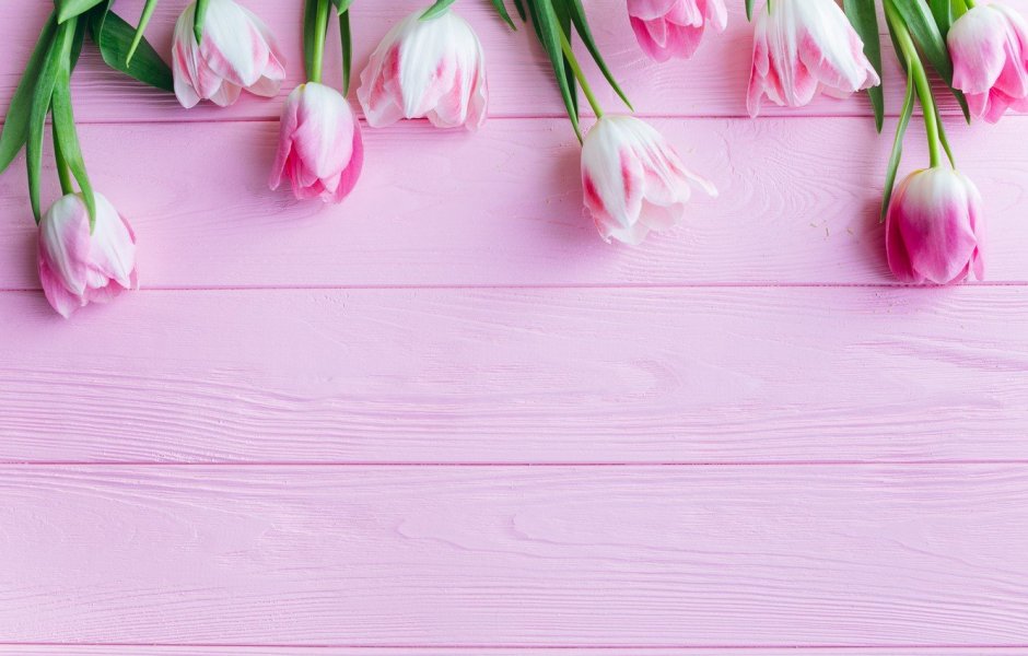 Фотофон тюльпаны розовые