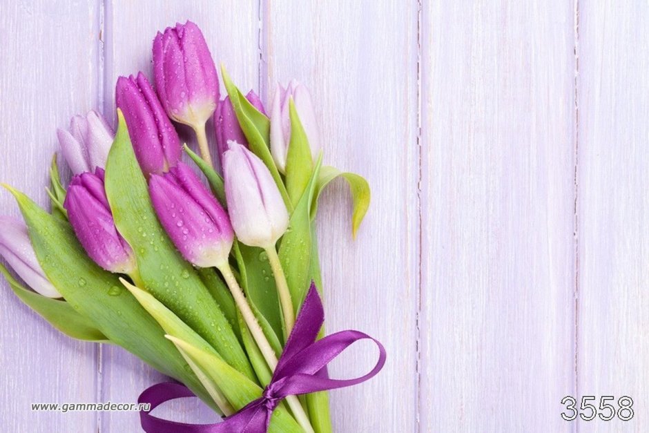 Картинки фиолетовые тюльпаны на столе вид сверху