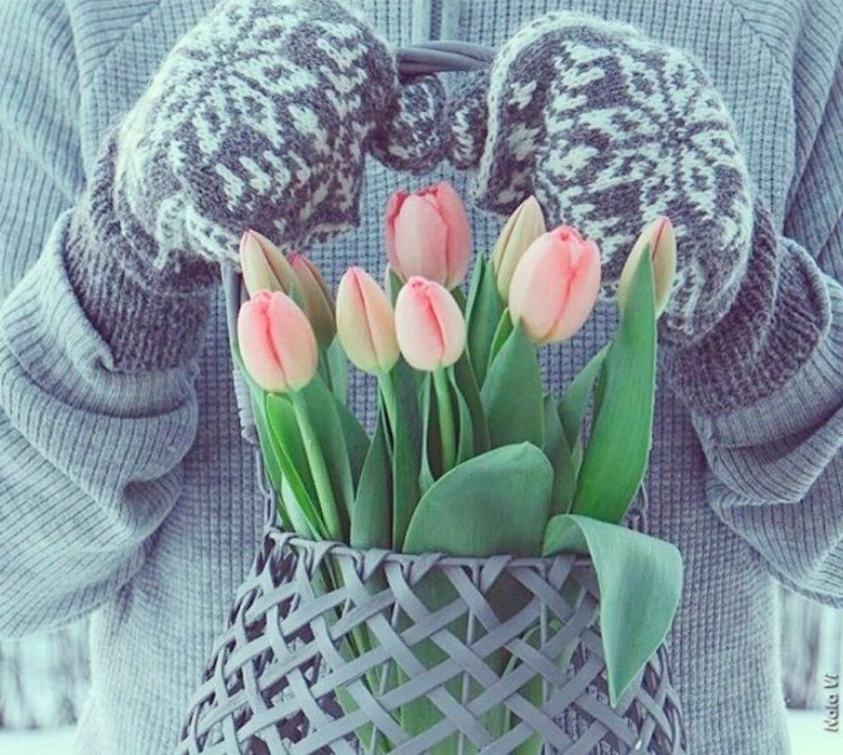 Тюльпаны букет в руках зимой