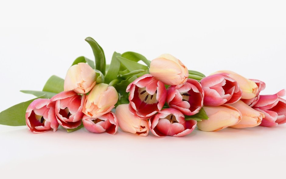 Розы и тюльпаны реклама