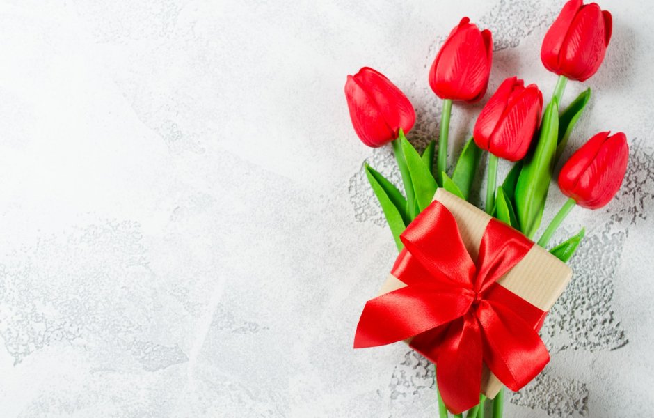 Красные тюльпаны на белом фоне
