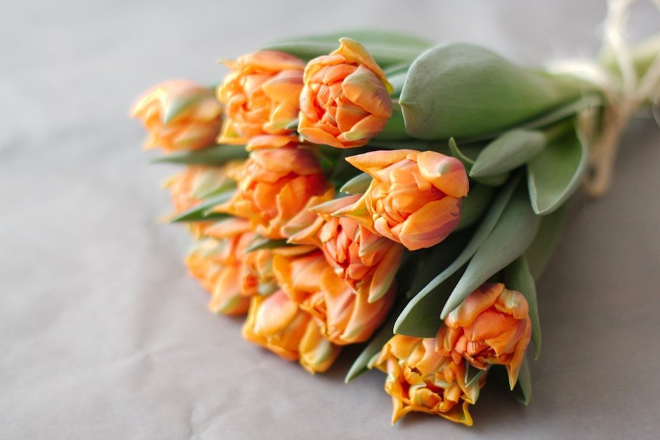 Пионовидные тюльпаны Orange Princess