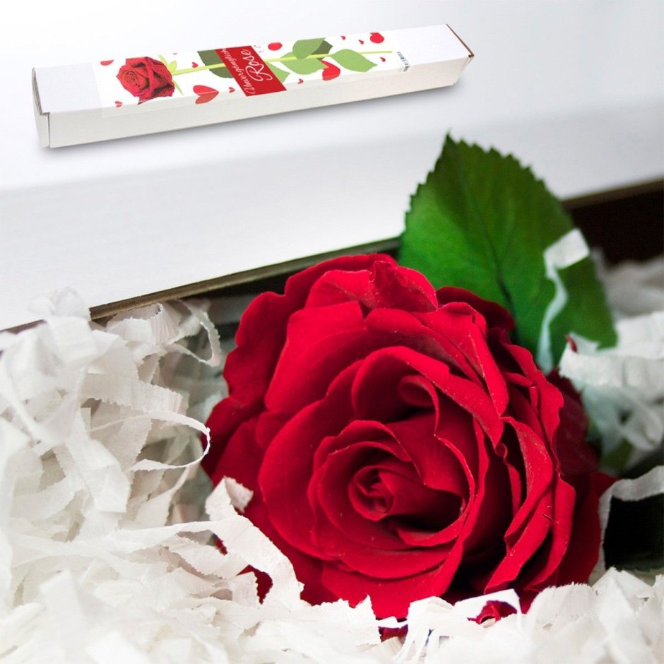 Букет красных роз в черной упаковке