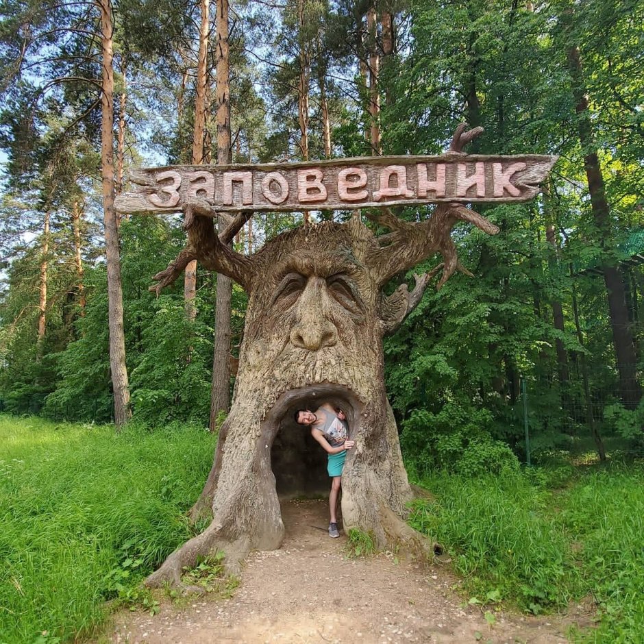 Алешкинский лес экотропа
