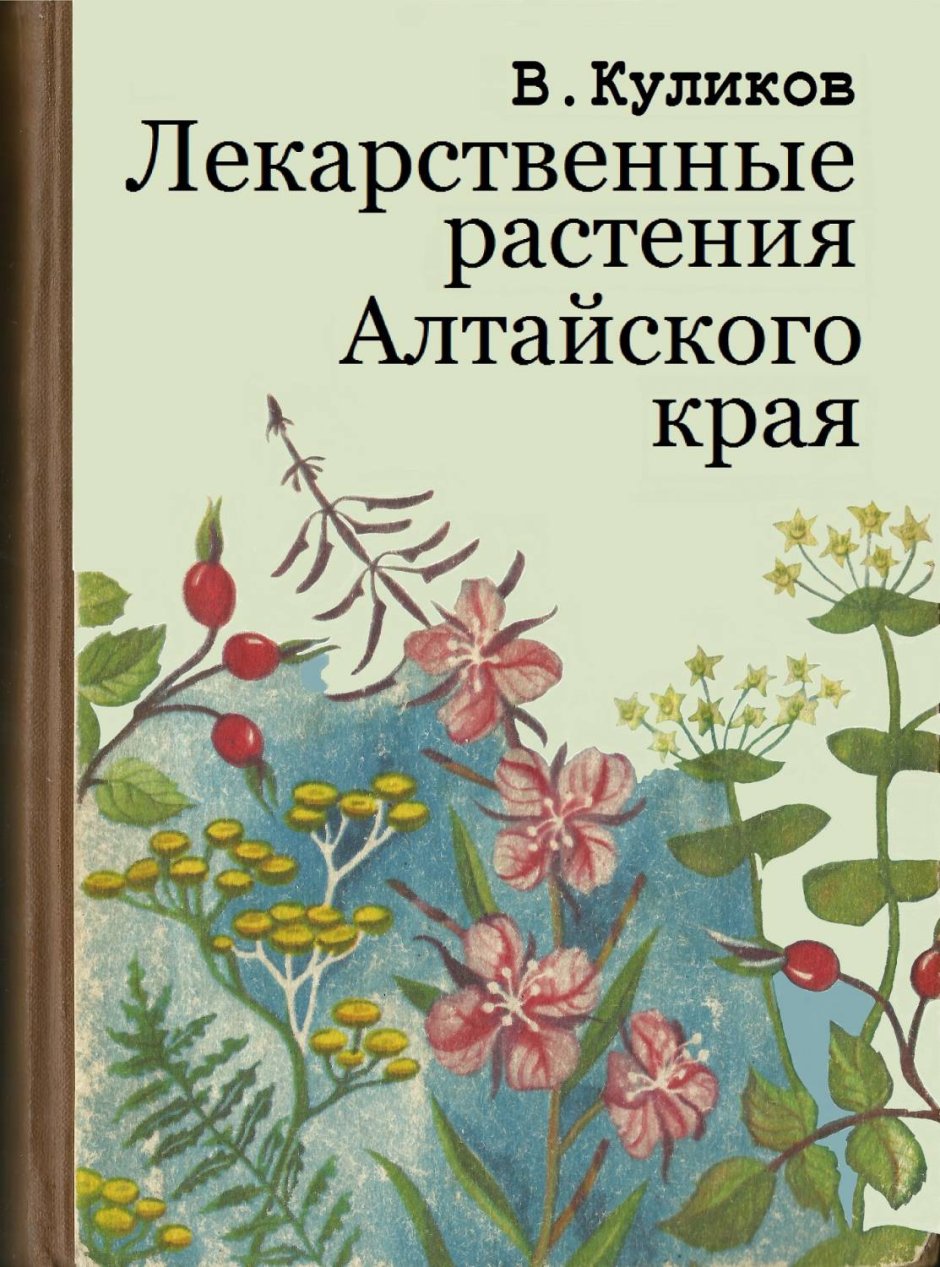 Лекарственные растения Алтайского края книга