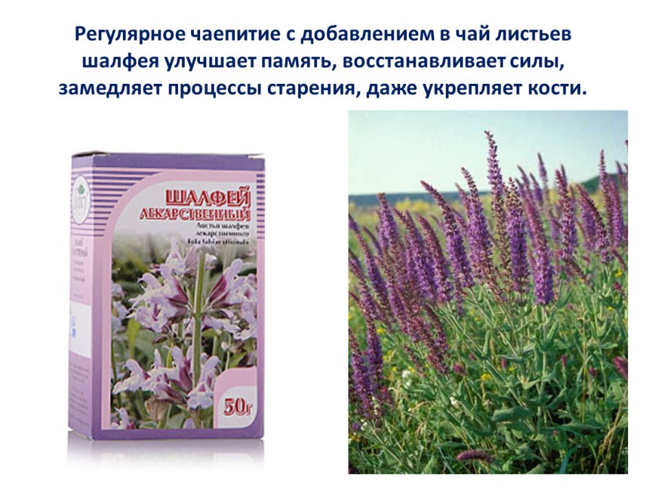 Алтайские лекарственные травы