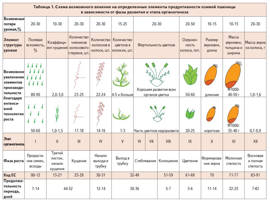 Период вегетации растений таблица