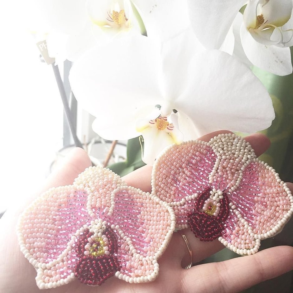 Орхидея с глазами