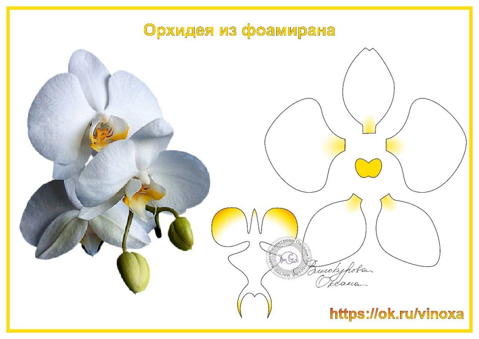 Алмазная мозаика орхидеи